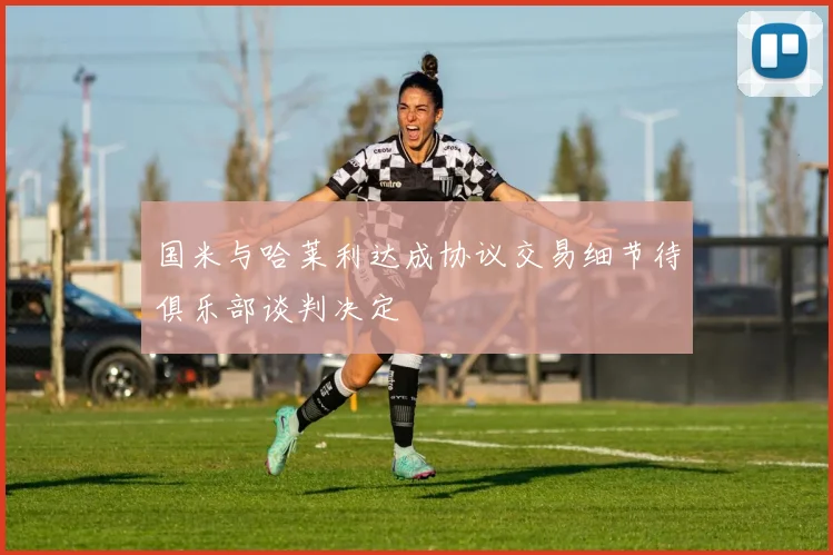 国米与哈莱利达成协议交易细节待俱乐部谈判决定