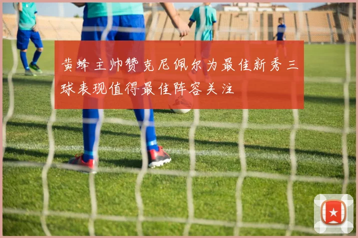 黄蜂主帅赞克尼佩尔为最佳新秀三球表现值得最佳阵容关注